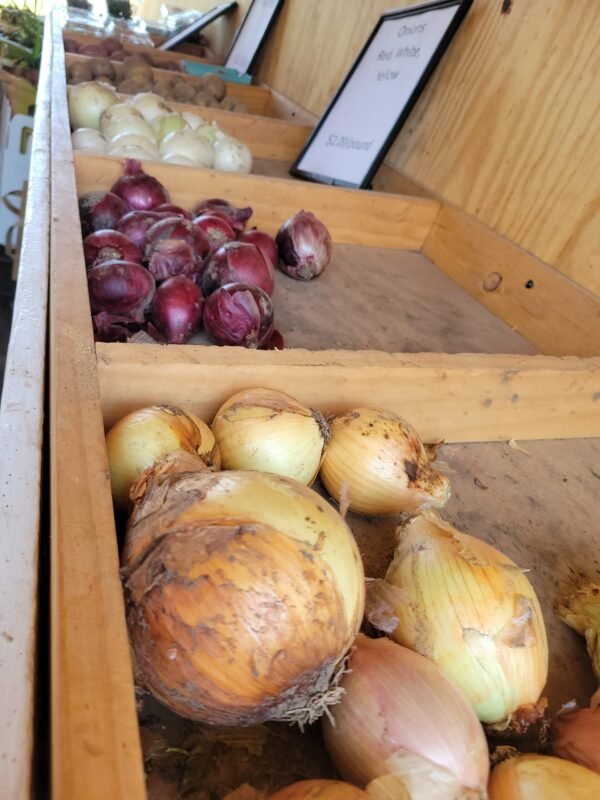 Yellow Onions