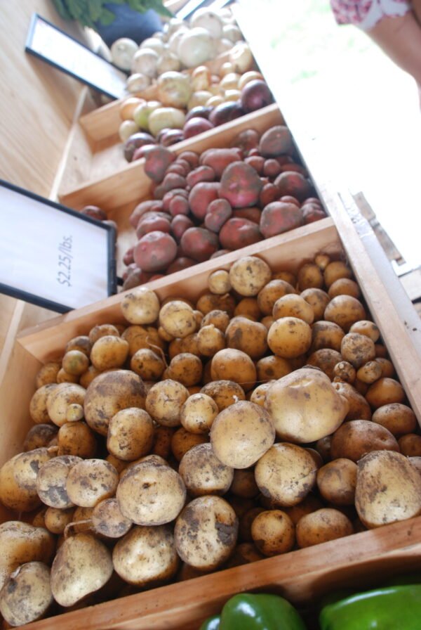 Yellow Potatoes