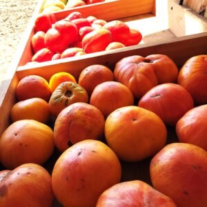 Heirloom Tomatoes