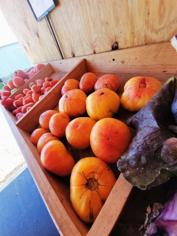 Heirloom Tomatoes - Image 3