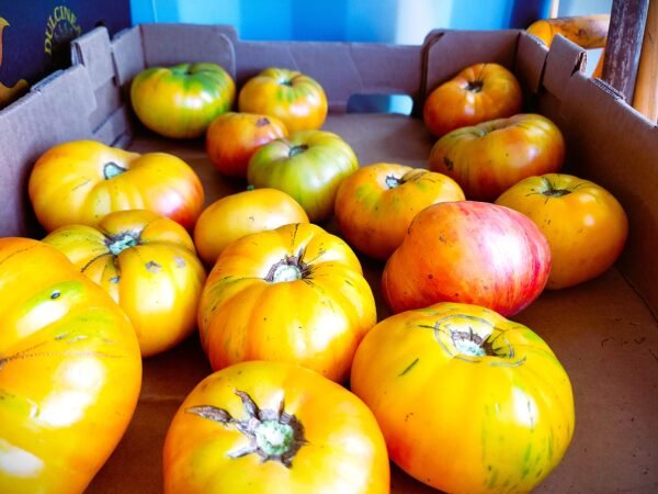 Heirloom Tomatoes