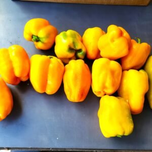 Yellow Bell Peppers