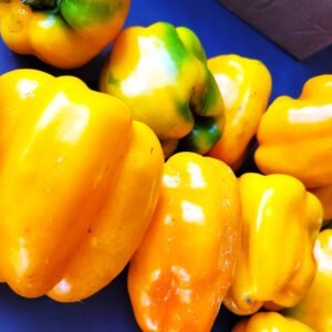 Yellow Bell Peppers