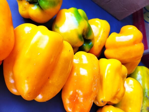 Yellow Bell Peppers
